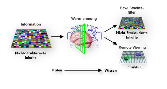Wahrnehmungsfilter RV